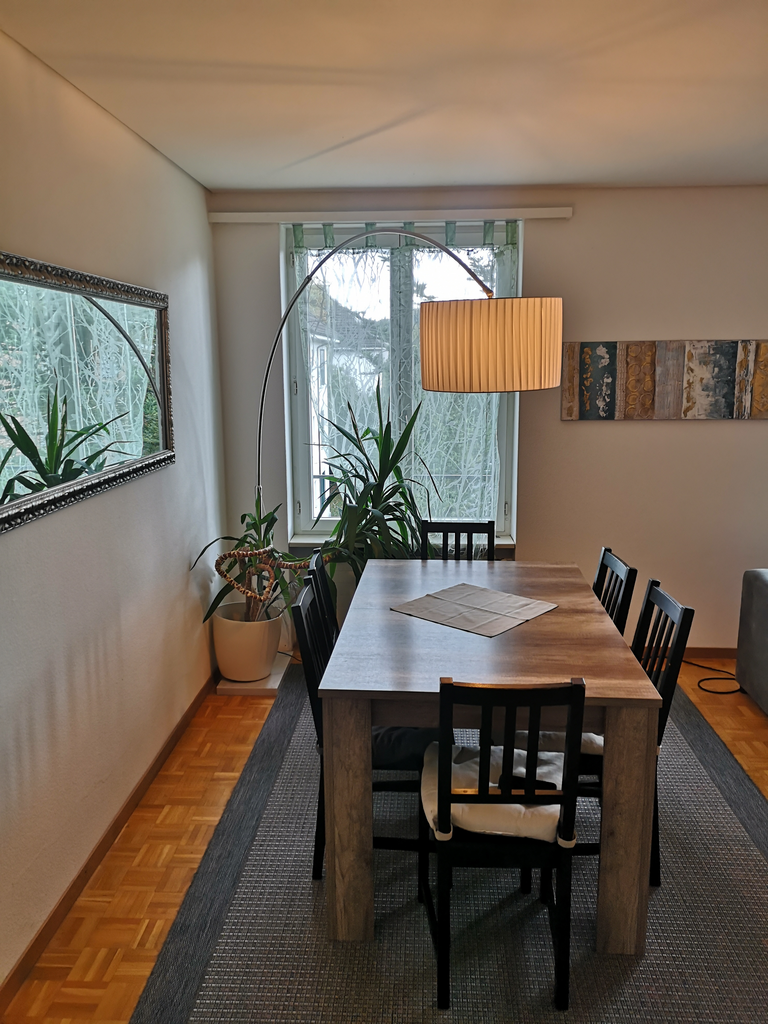 5 ½ rooms apartment