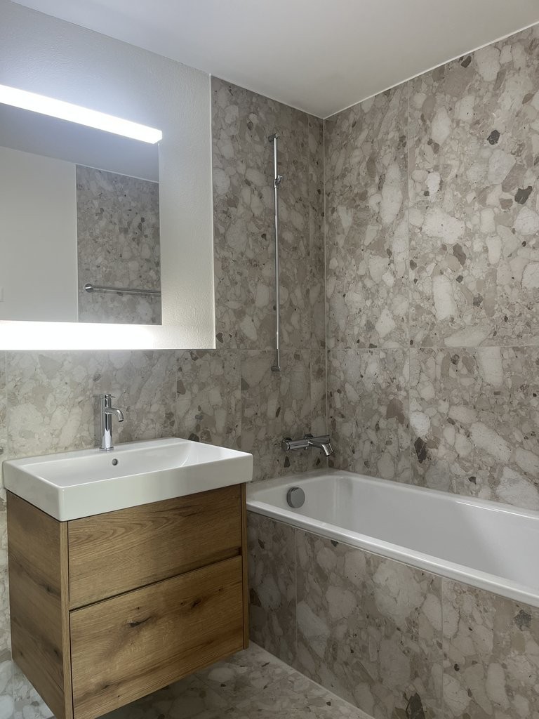 3 ½ rooms apartment (5)