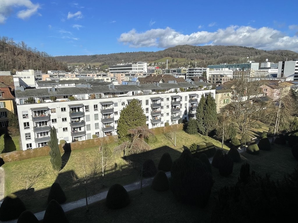 3 ½ rooms apartment (8)