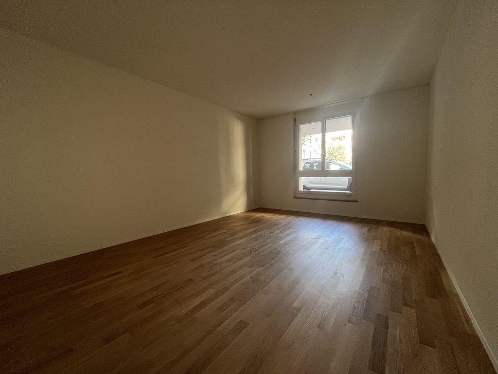 3 ½ rooms apartment (4)