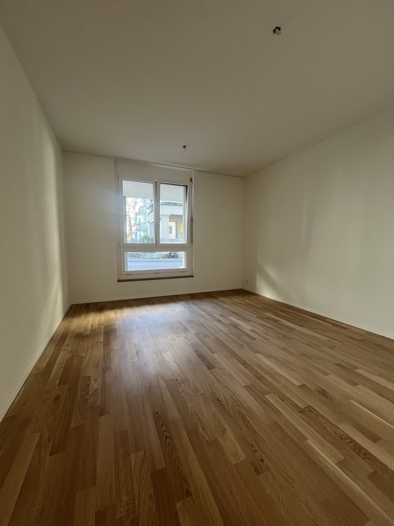 3 ½ rooms apartment (6)