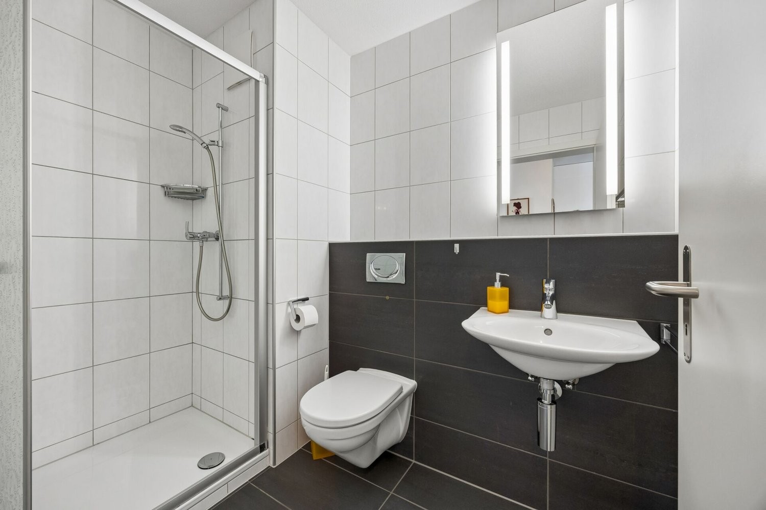 4 ½ rooms apartment