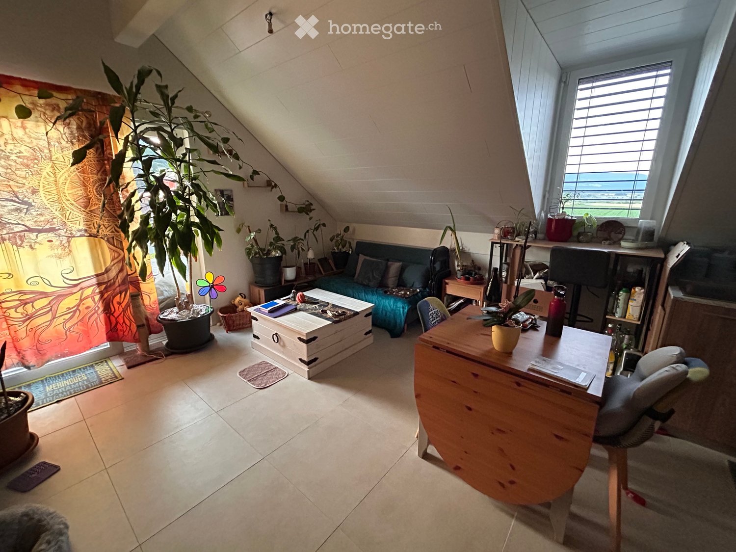 3 rooms apartment