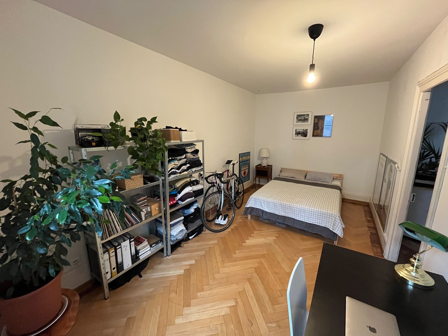 Room in a shared flat