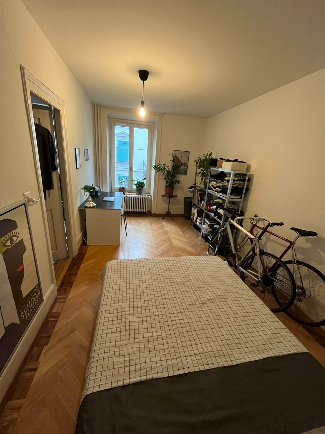 Room in a shared flat