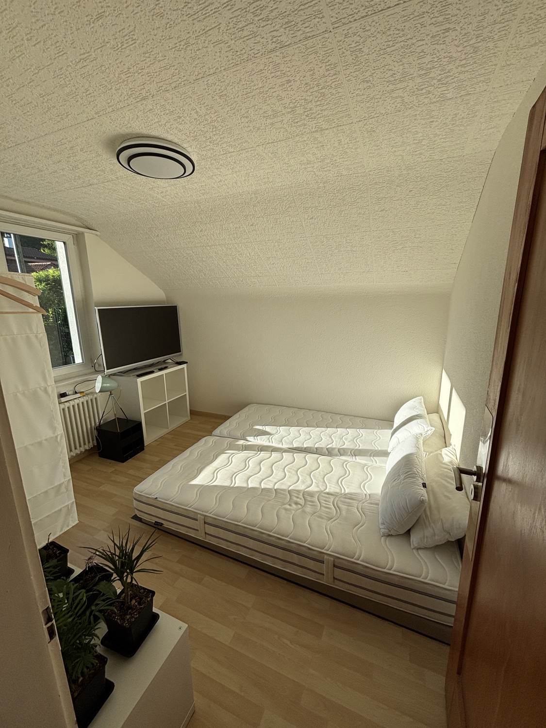 Chambre en colocation