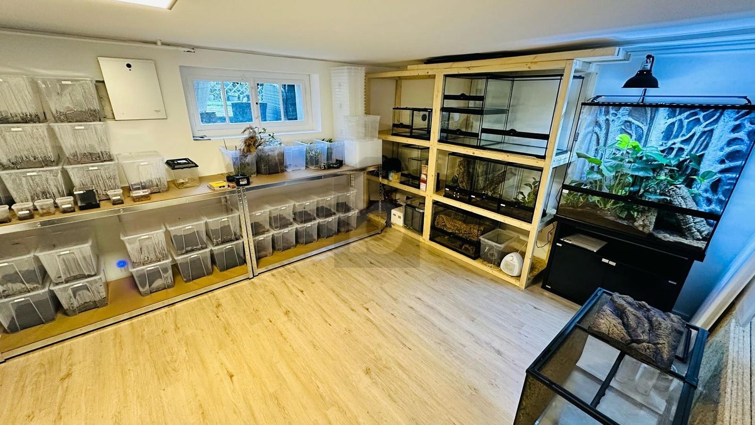 7 rooms single house, Foto 1 von 4