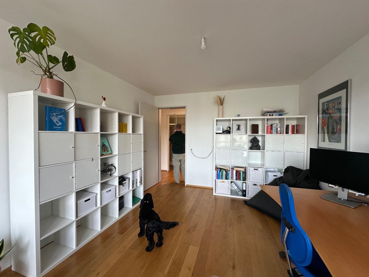 Room in a shared flat, Foto 6 von 10