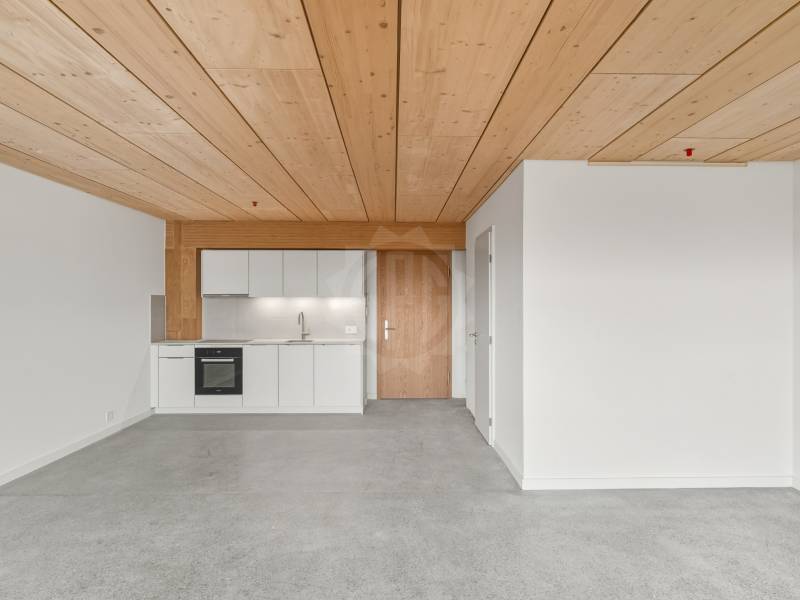 3 ½ Zimmer Wohnung