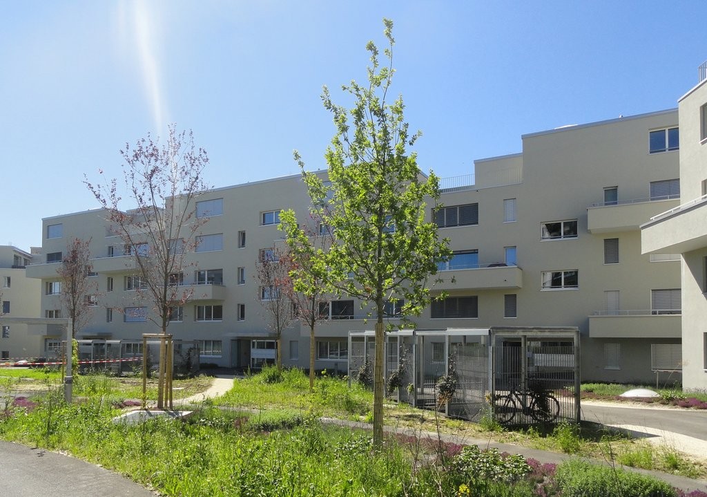 4 ½ rooms apartment