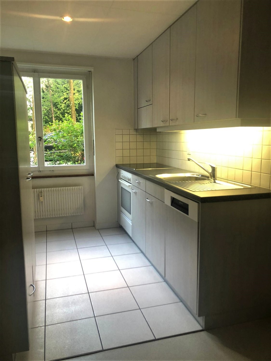 2 ½ rooms apartment