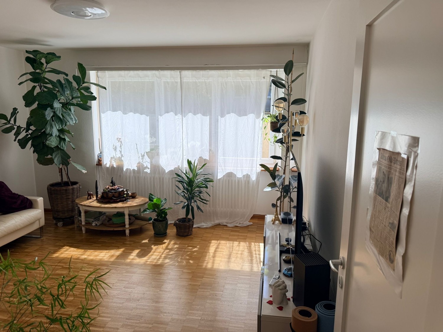 2 rooms apartment, Foto 9 von 10