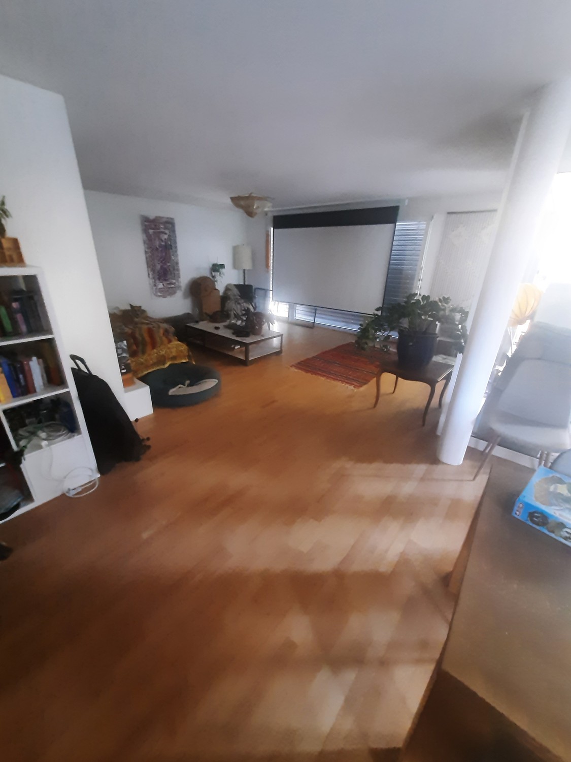 Chambre dans une colocation