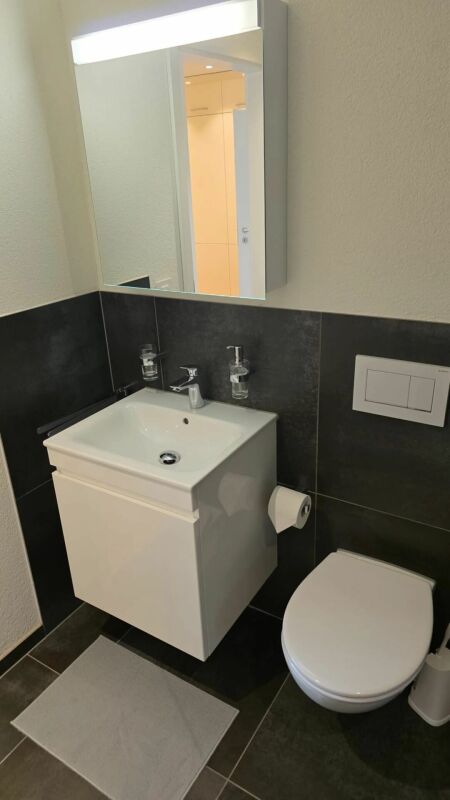 3 ½ rooms furnished flat
