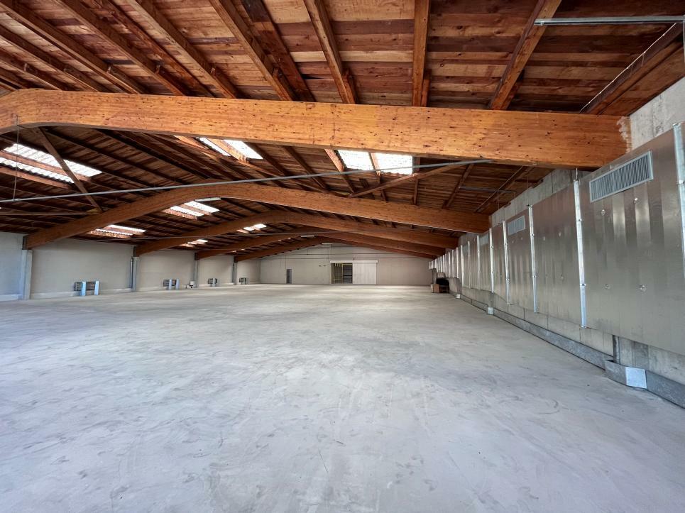 900m² commercial, Foto 6 von 7