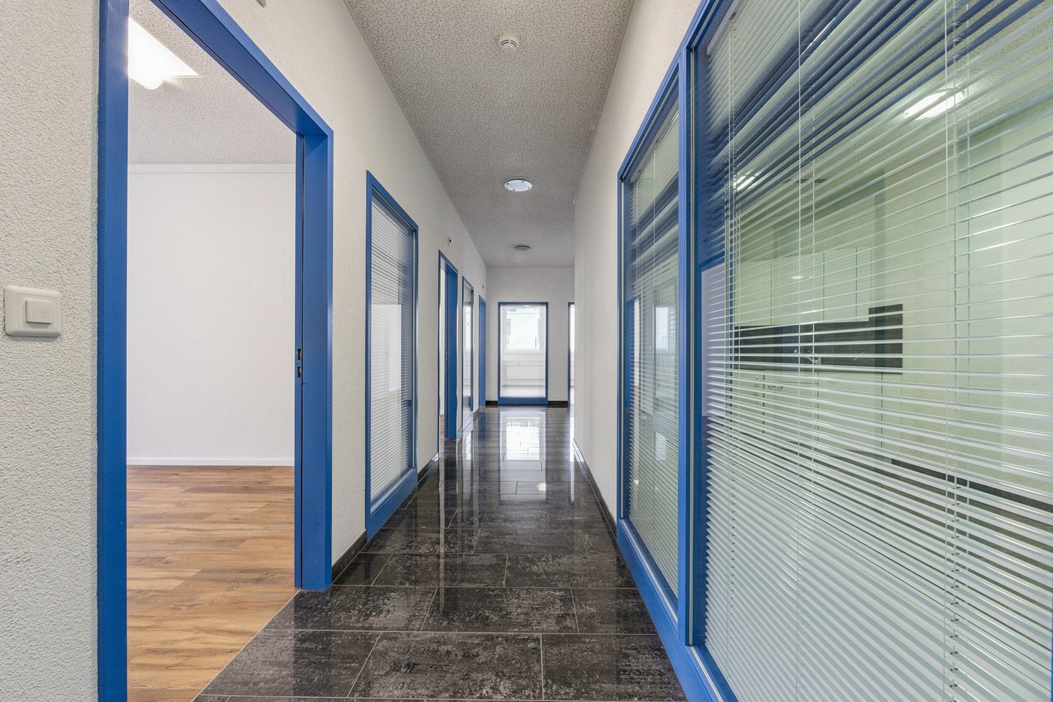 305m² office