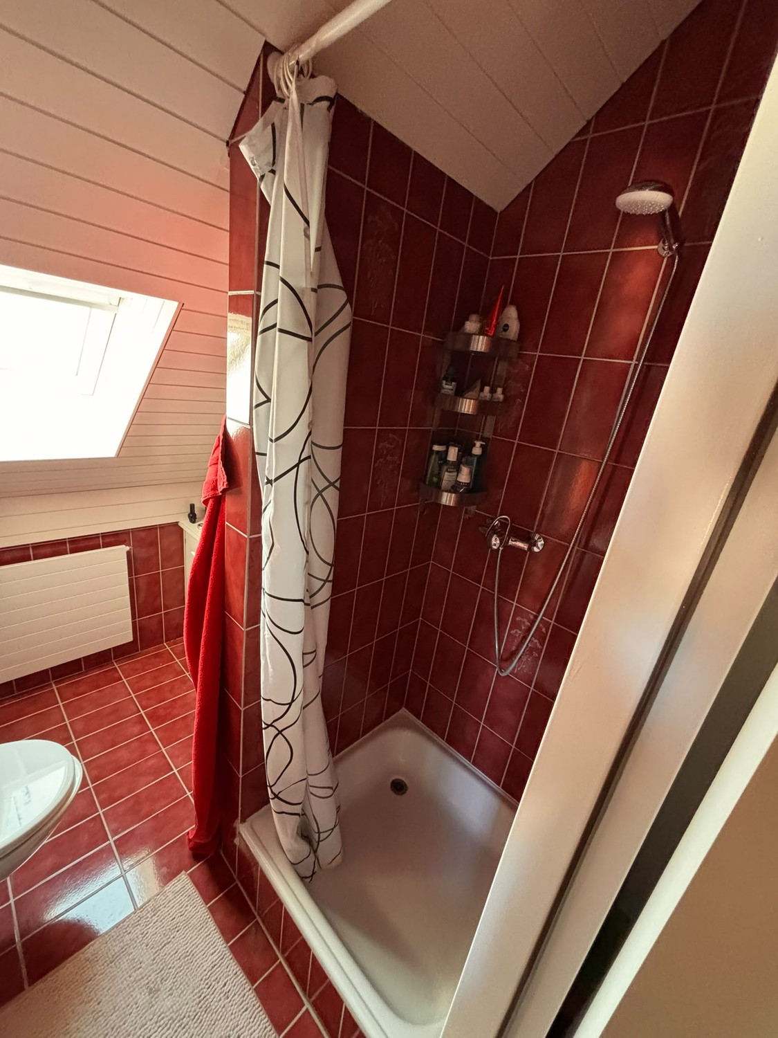 Room in a shared flat