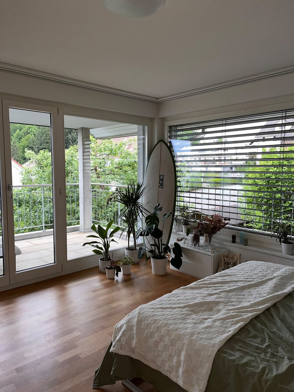 Room in a shared flat