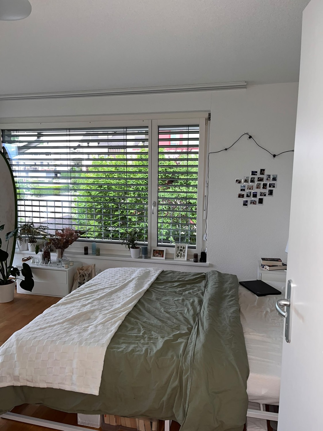 Room in a shared flat
