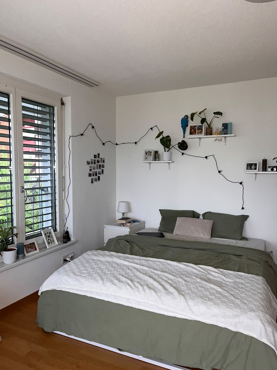 Room in a shared flat