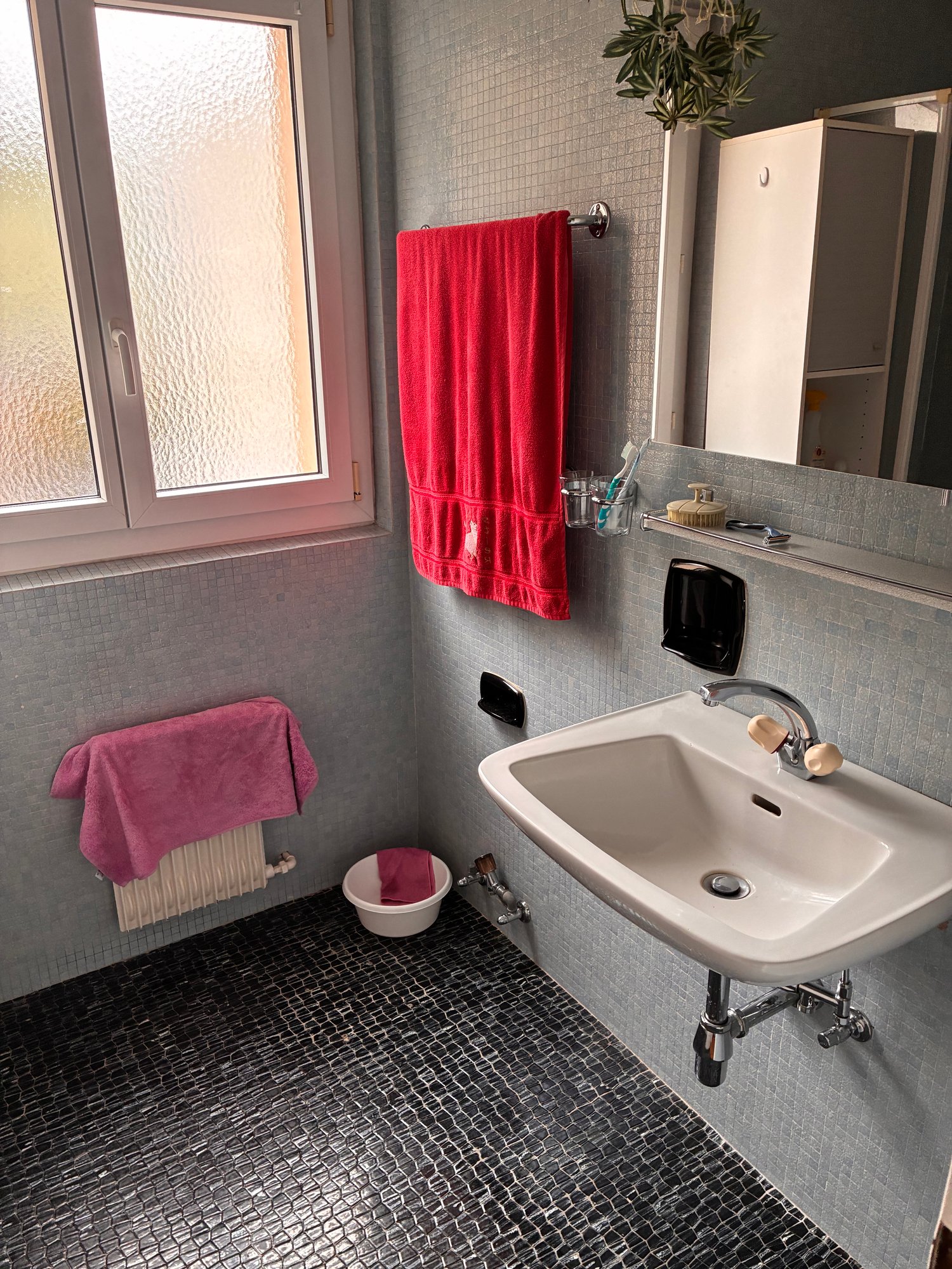 3 ½ Zimmer-Wohnung