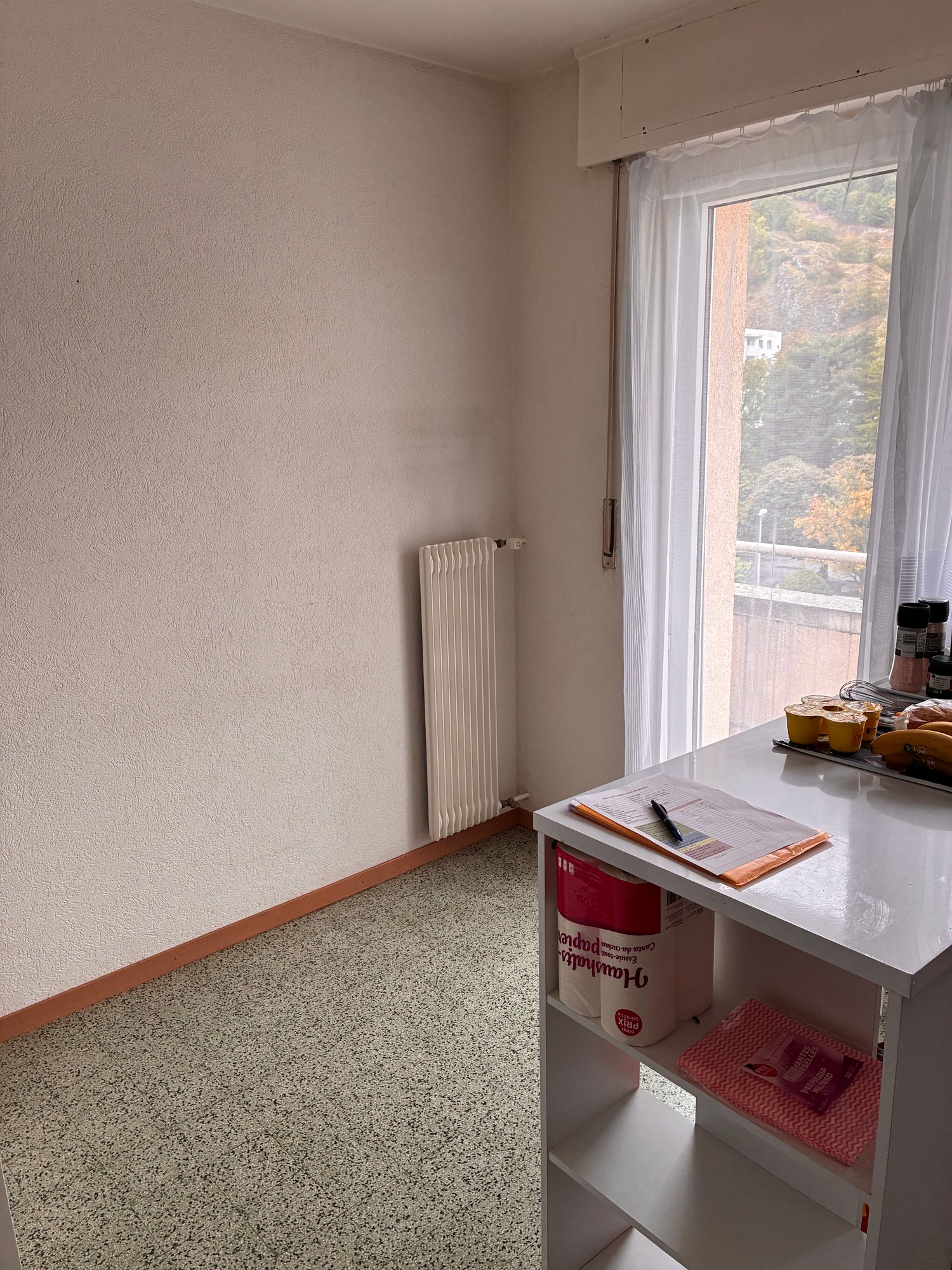 3 ½ Zimmer-Wohnung