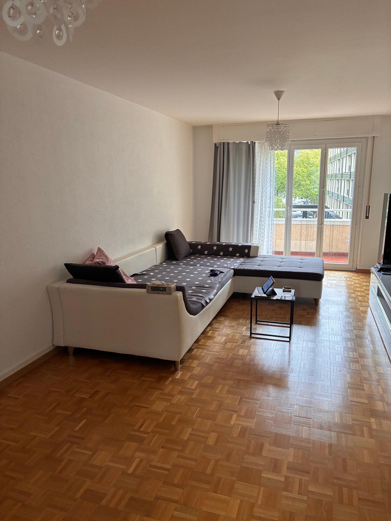 3 ½ Zimmer-Wohnung
