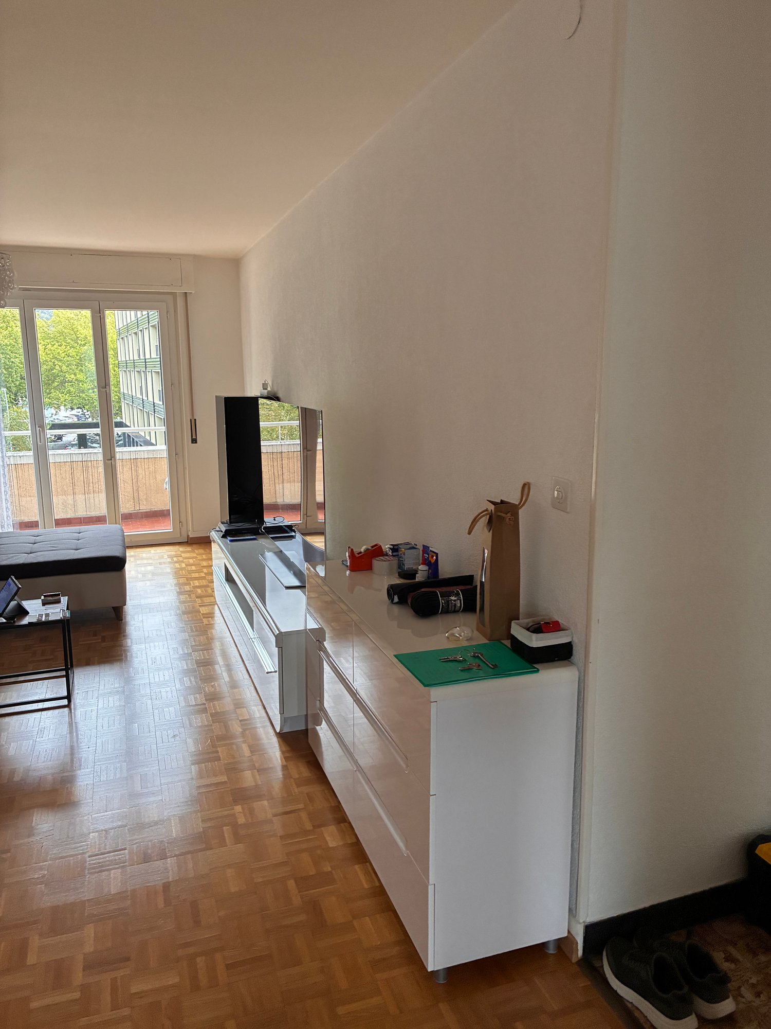 3 ½ Zimmer-Wohnung