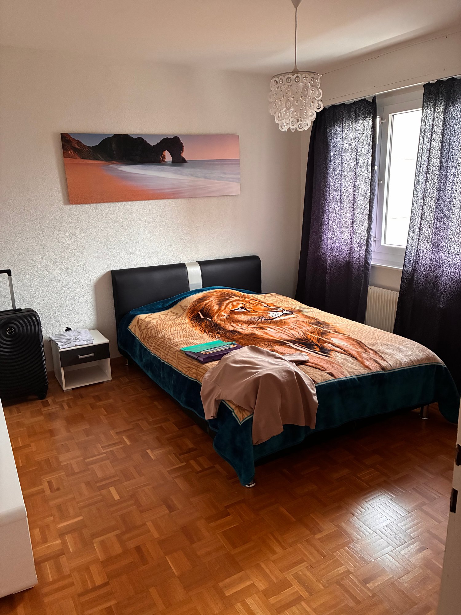 3 ½ Zimmer-Wohnung