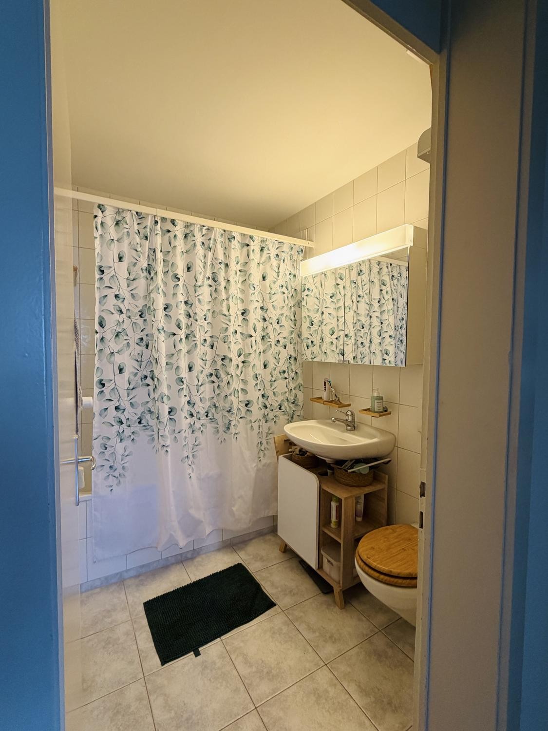 Appartement de 3 ½ pièces