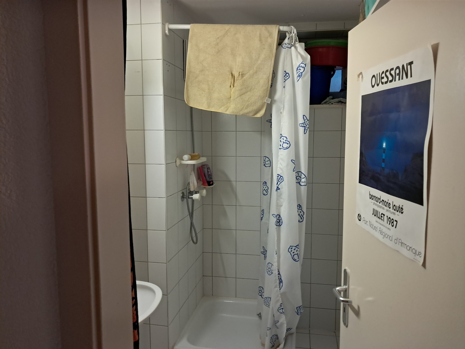 Room in a shared flat