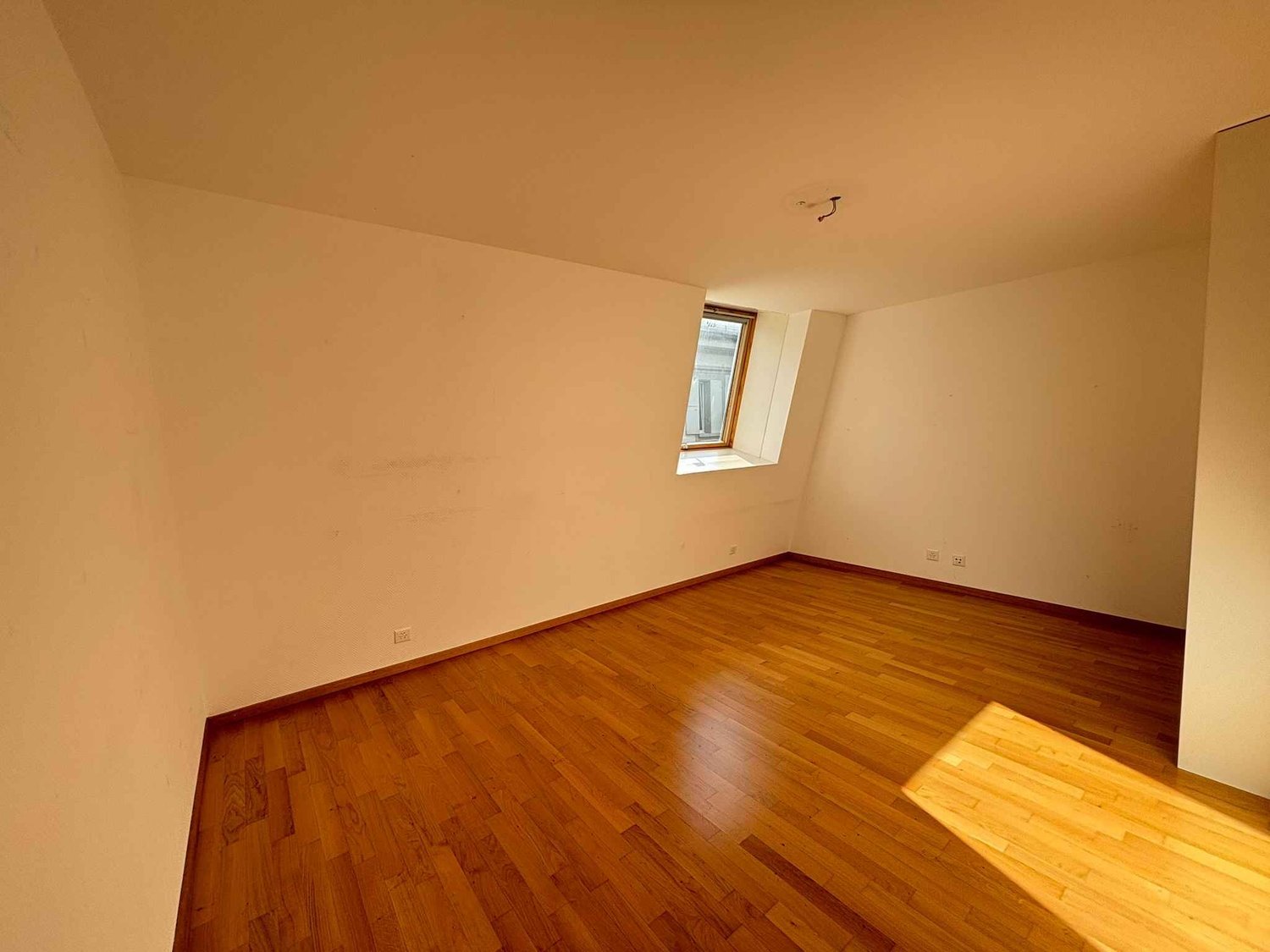 4 ½ Zimmer Attikawohnung