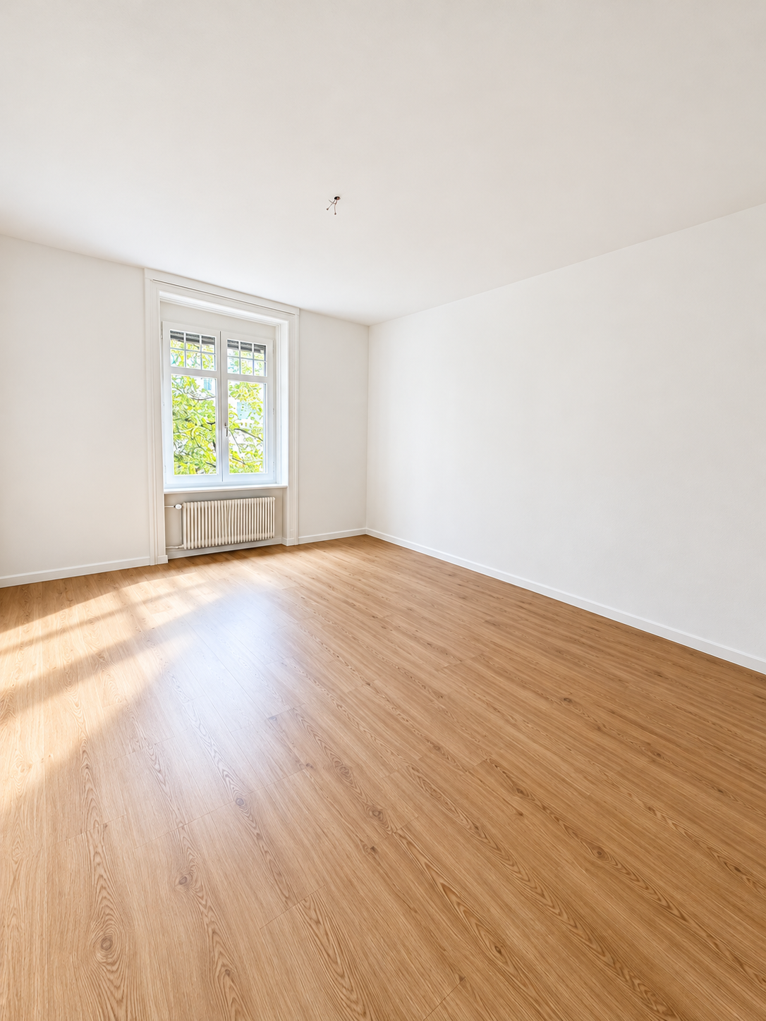 1 room apartment