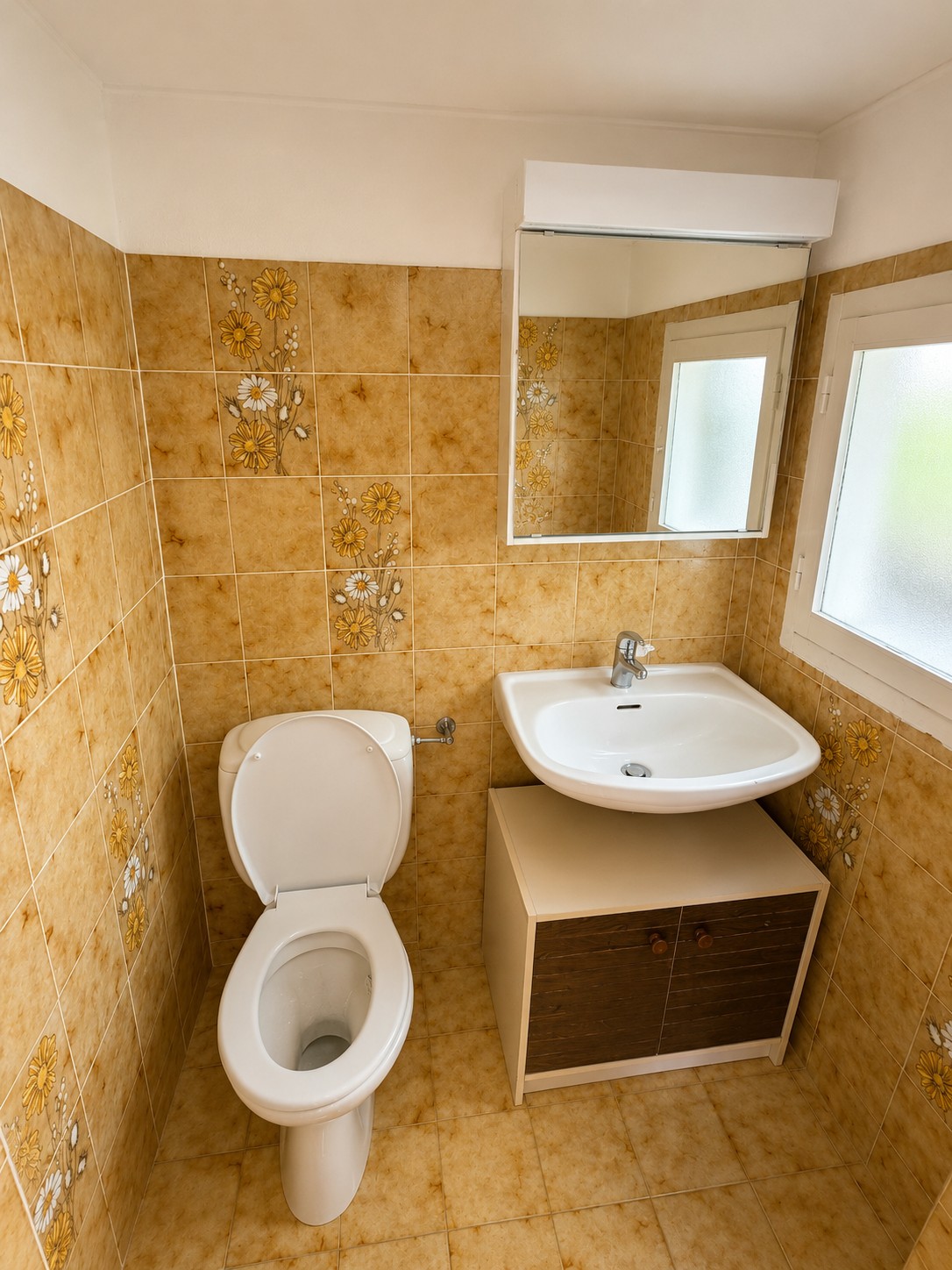 Maison individuelle de 3 ½ pièces