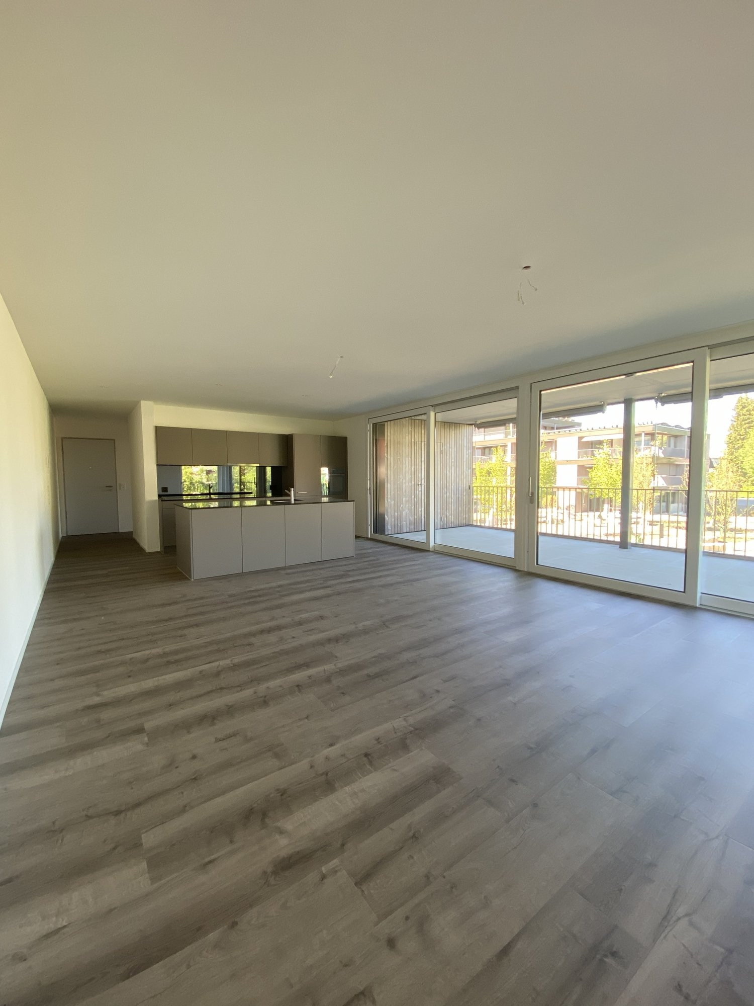 4 ½ rooms apartment