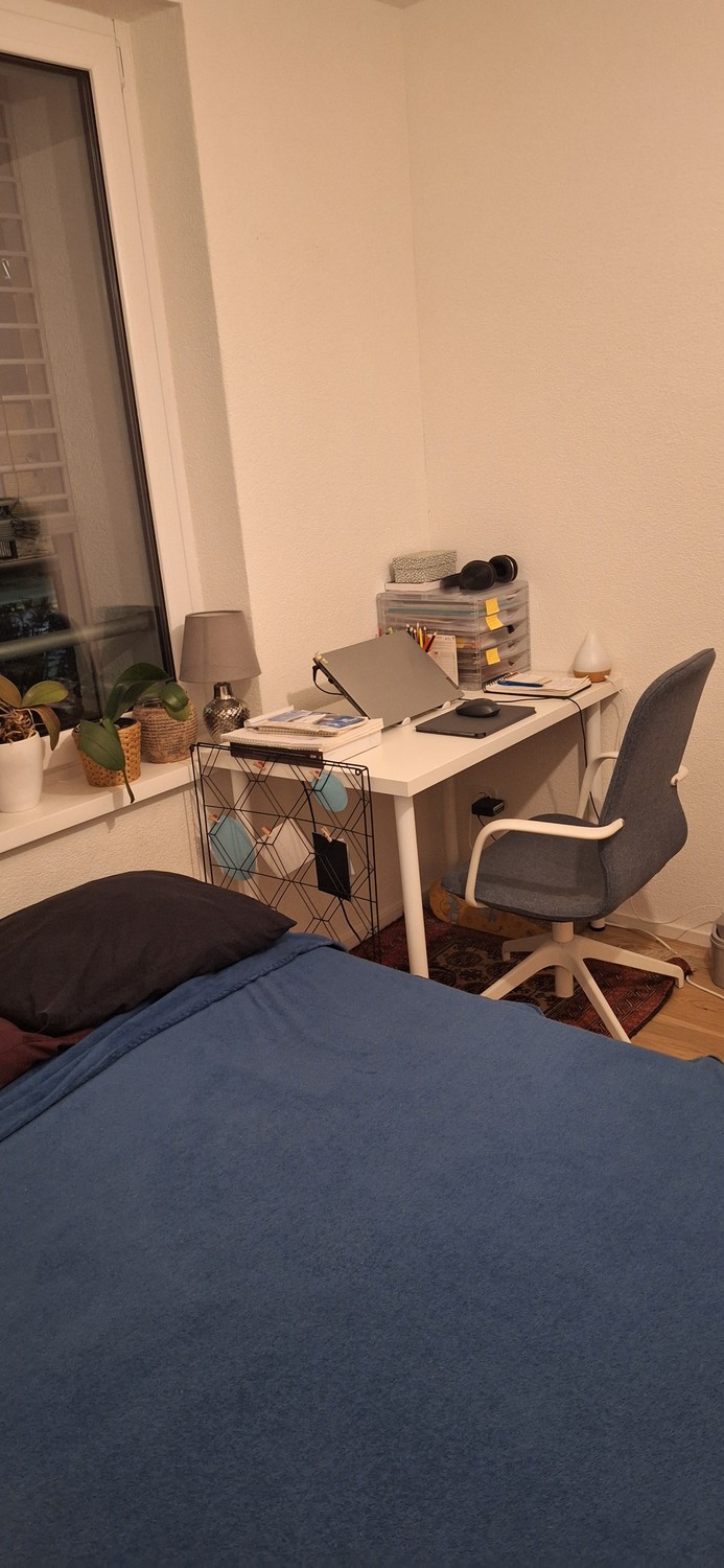 Stanza in un appartamento condiviso