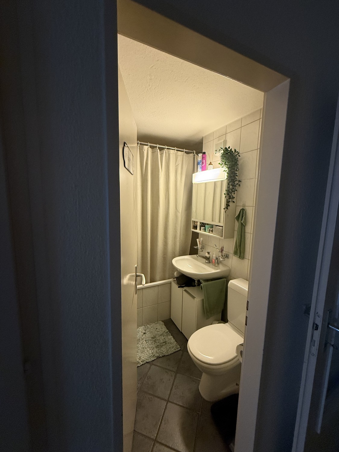 Room in a shared flat