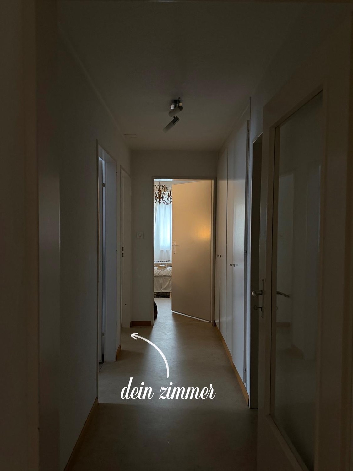 Room in a shared flat