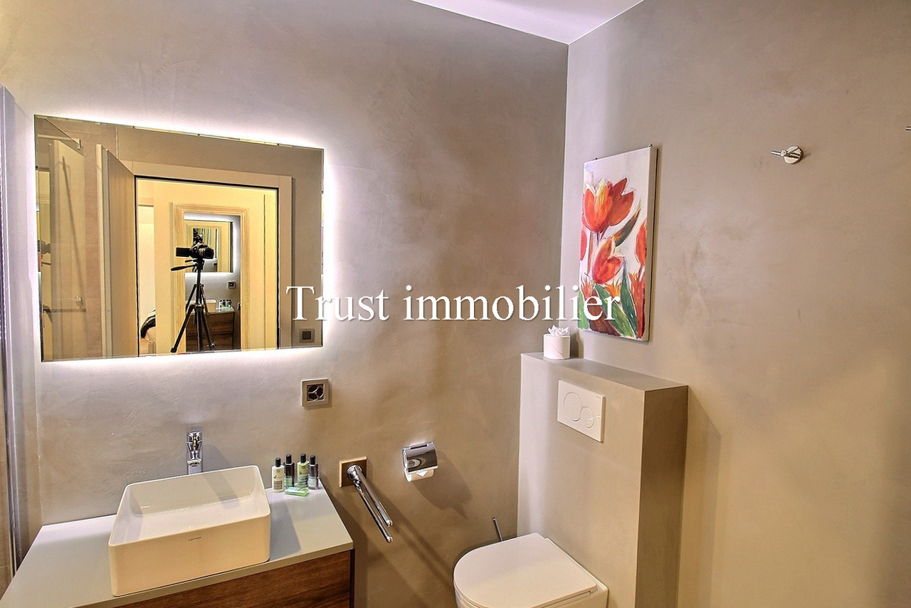 4 ½ rooms apartment (5)
