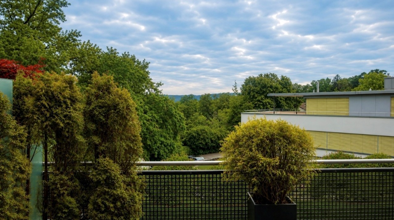 Appartement de 2 ½ pièces