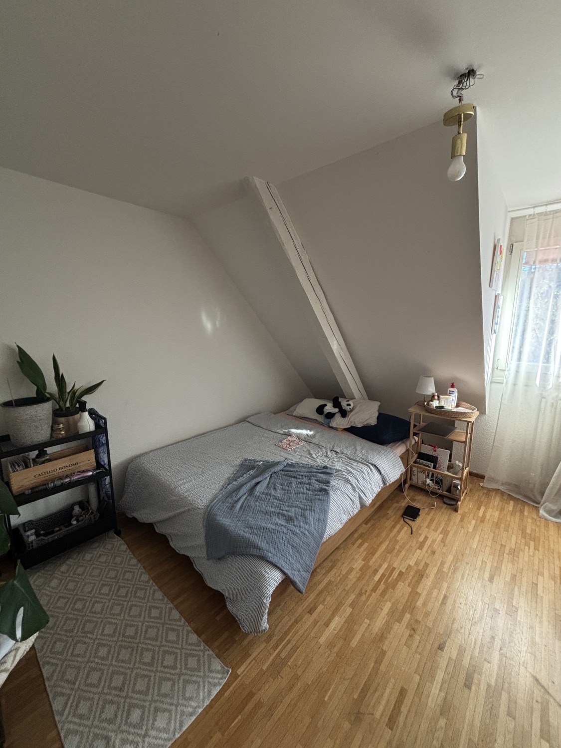 Zimmer in einer Wohngemeinschaft

Ich ziehe leider aus diesem gemütlichen Haus mit einem hellen und sonnigen Zimmer aus. Das Haus verfügt über einen großen Garten zur Mitbenutzung sowie Küche und Wohnbereich im Erdgeschoss. So haben Sie Ihre eigene Ruhe im zweiten Stock.

Für weitere Informationen z
