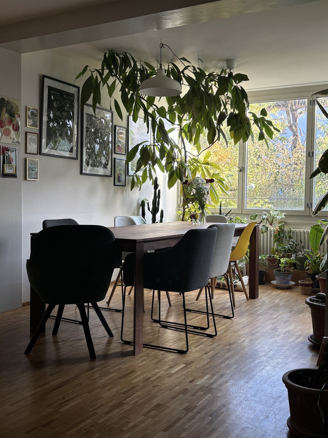Zimmer in einer Wohngemeinschaft

Ich ziehe leider aus diesem gemütlichen Haus mit einem hellen und sonnigen Zimmer aus. Das Haus verfügt über einen großen Garten zur Mitbenutzung sowie Küche und Wohnbereich im Erdgeschoss. So haben Sie Ihre eigene Ruhe im zweiten Stock.

Für weitere Informationen z