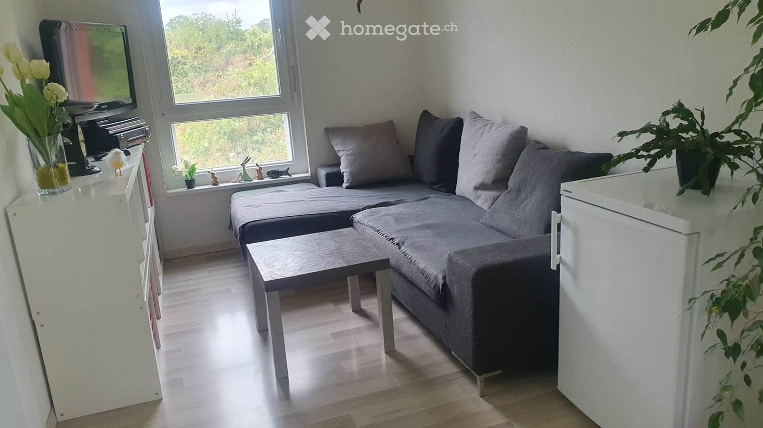 1 Zimmer Einzelzimmer