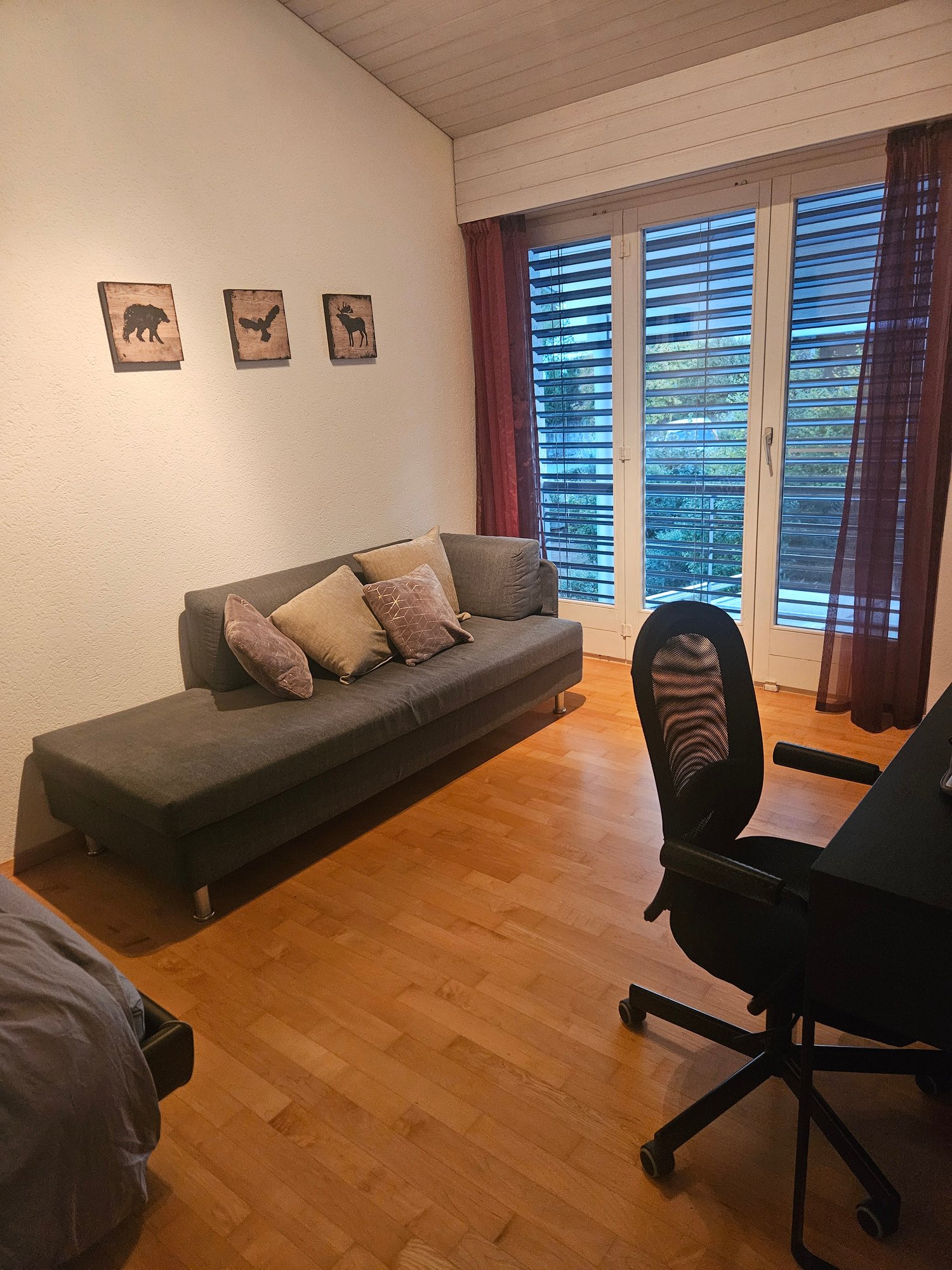 Room in a shared flat