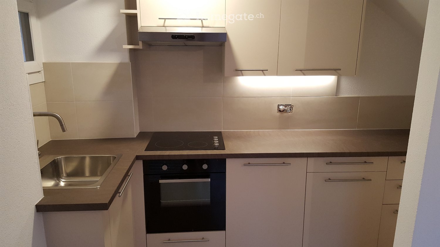 3 ½ rooms single house (3)