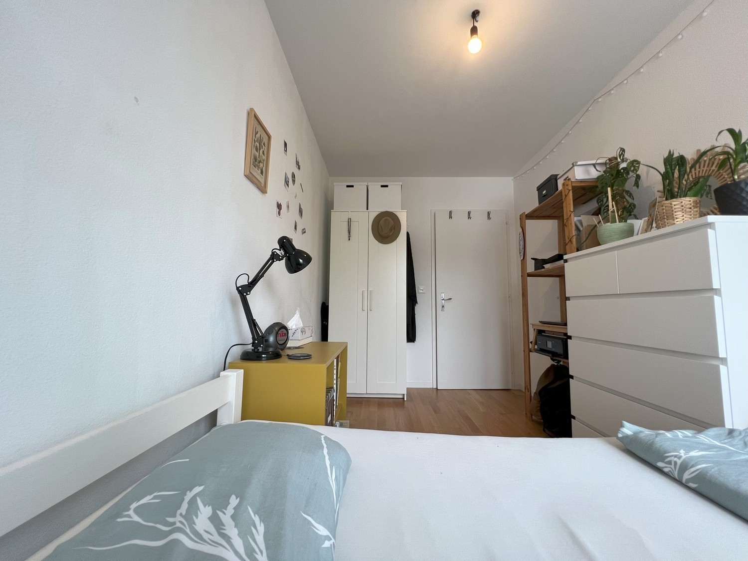 Room in a shared flat