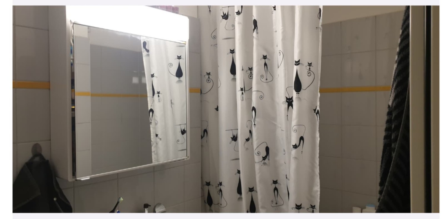2 ½ Zimmer-Wohnung, Foto 4 von 6