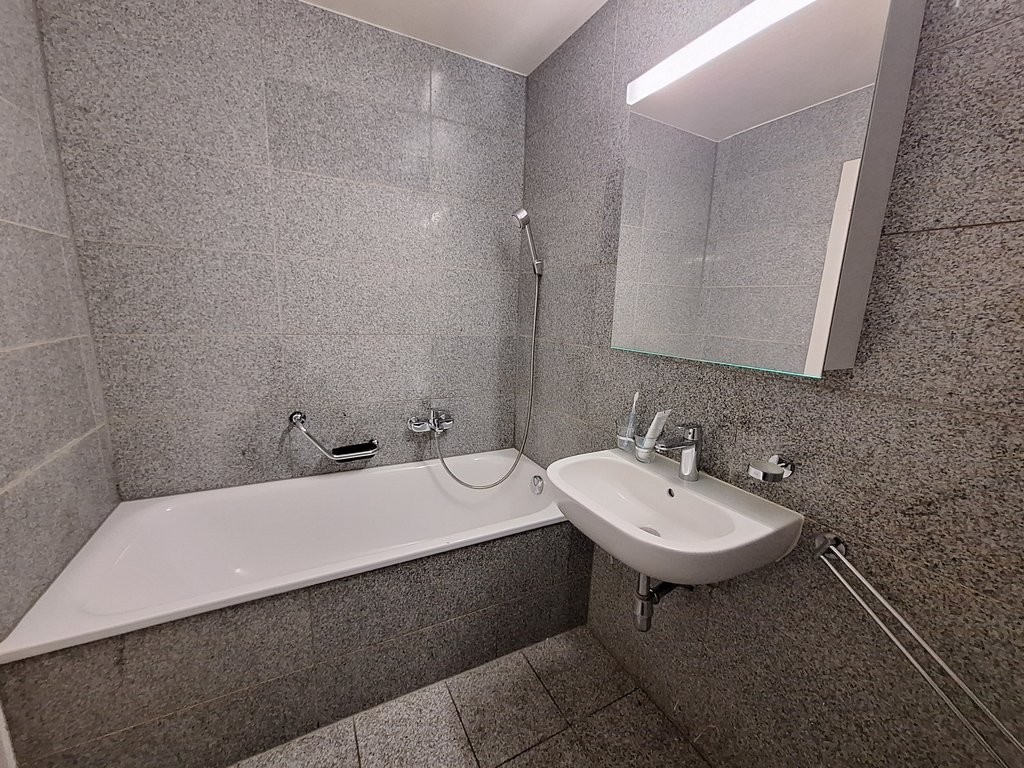 3 ½ Zimmer Wohnung
