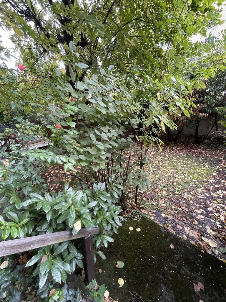 2 room apartment