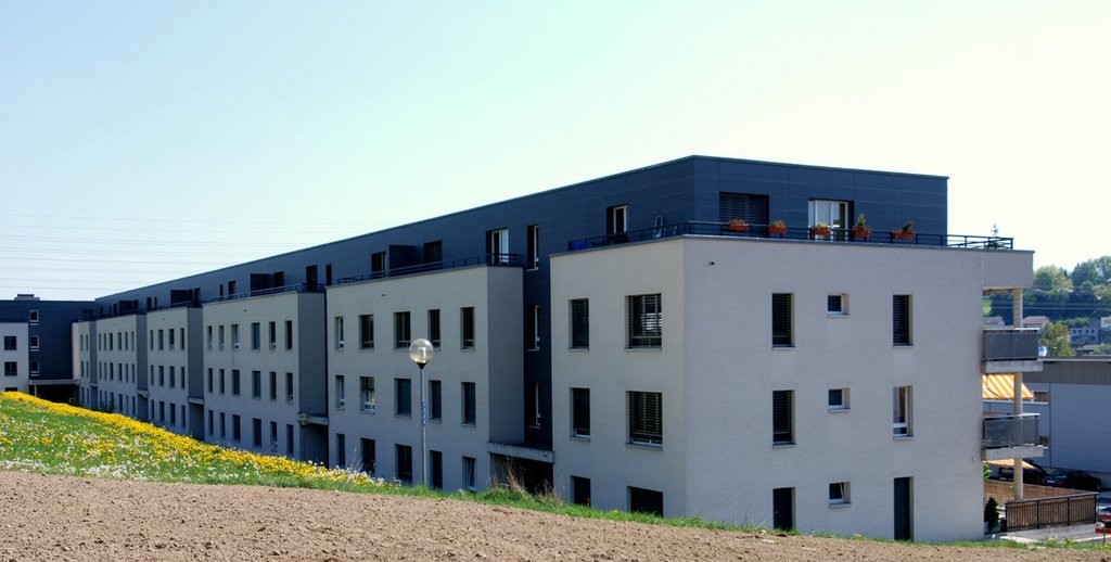 3 ½ Zimmer-Wohnung